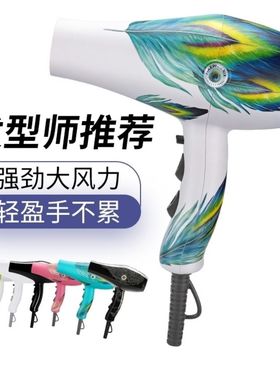 火之凤8960H吹风机专用发廊大功率吹风筒理发店家用静音2400W速干