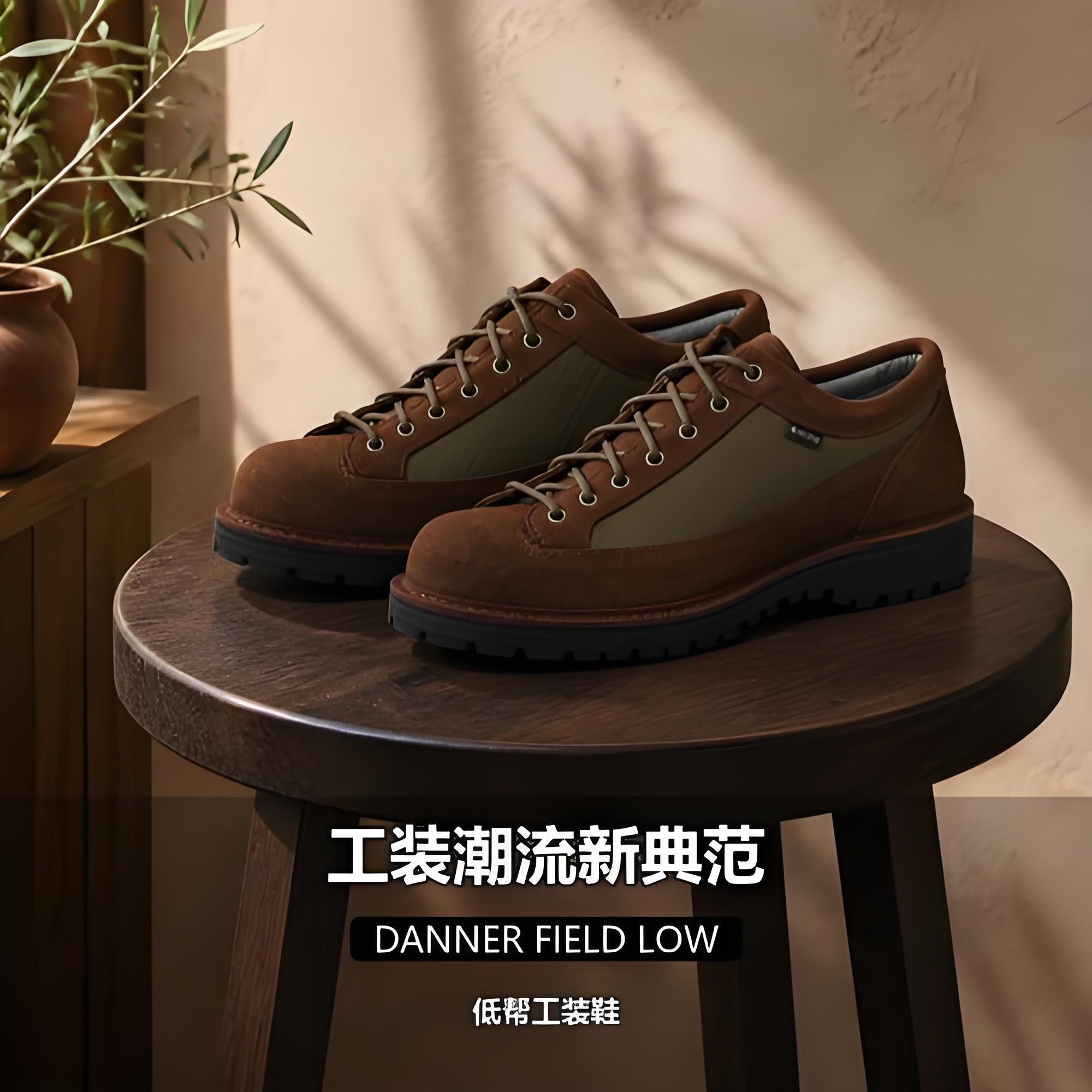 DannerFieldIDLowGTX工装靴