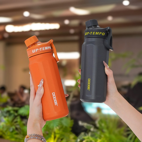 道奇316钢吸管简约学生保温杯