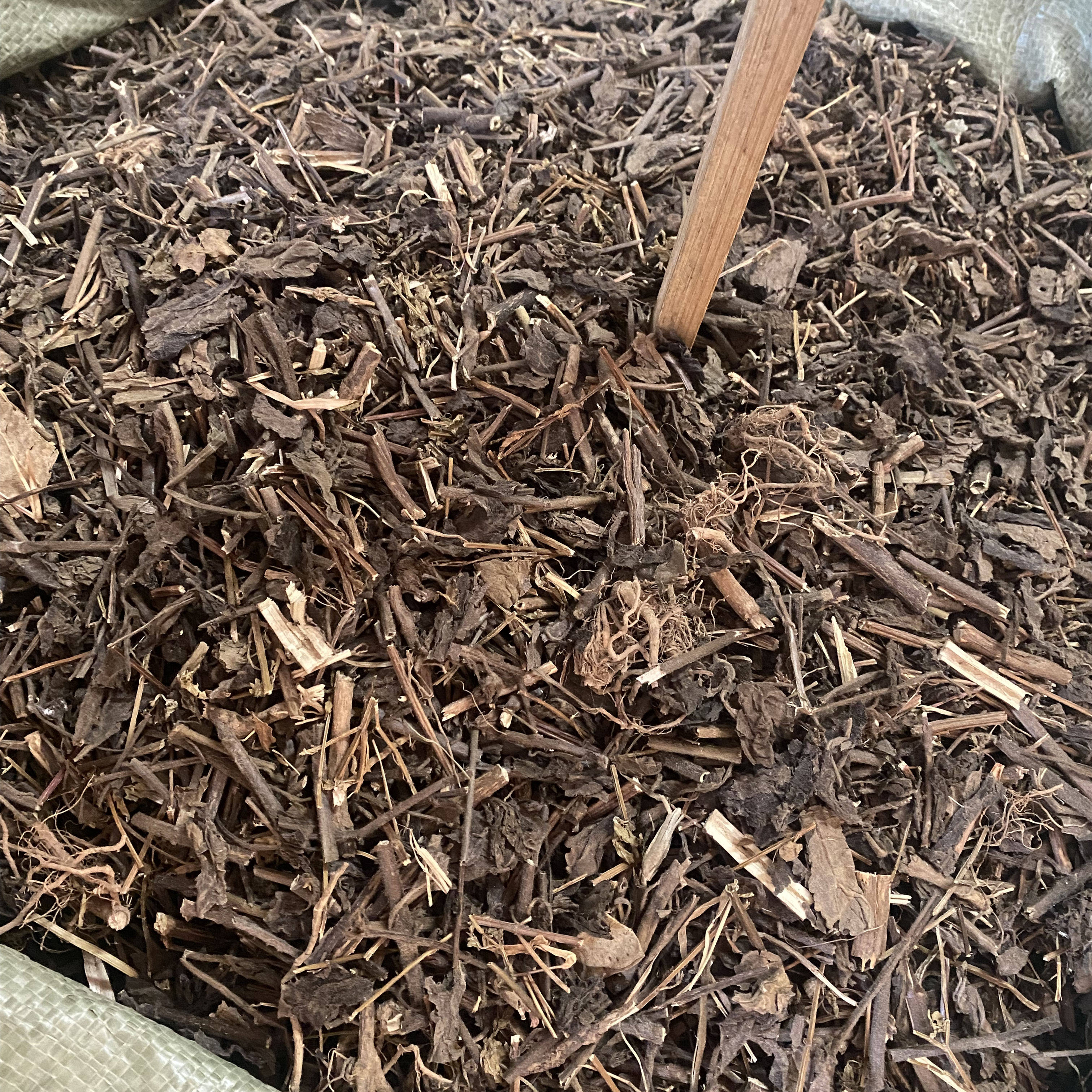 野生五凉草正品中药材叶子枝干货草酒子草毛老虎饼草香草500g包邮