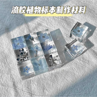 滴胶植物立体方块模具 diy手作干花种子植物昆虫标本水晶滴胶材料