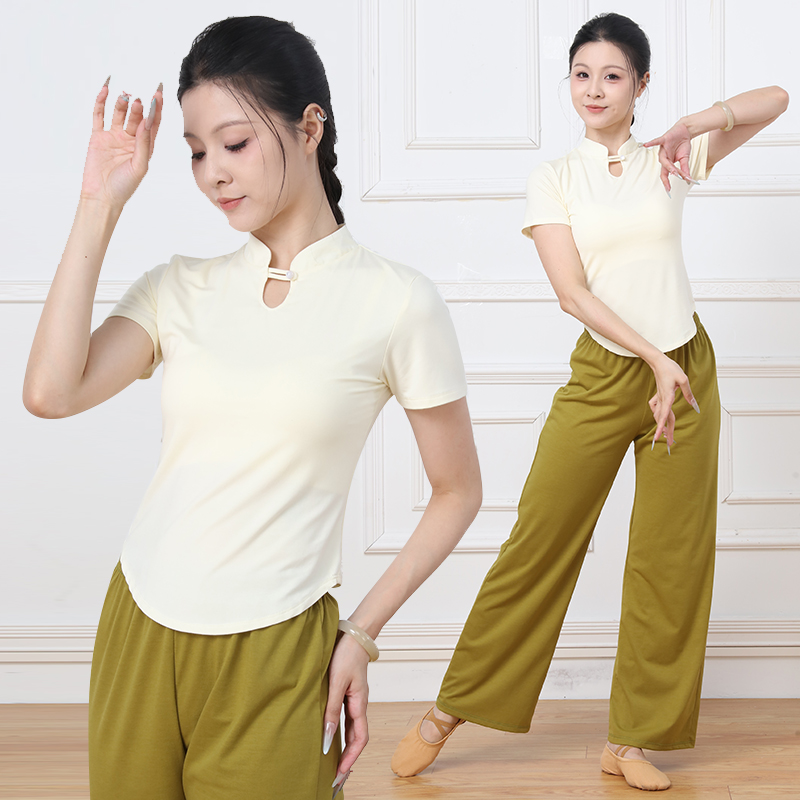 立领复古盘扣古典舞民族舞中国舞形体身韵练功服舞蹈服显瘦上衣女
