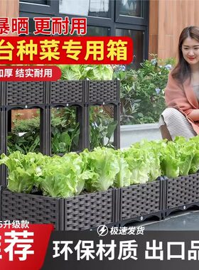 栽菜盆花园蔬菜种植箱子花箱花盆