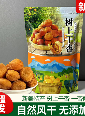 新疆库车农家小黄杏干今年新货树上吊干杏无添加新疆杏干500g果脯