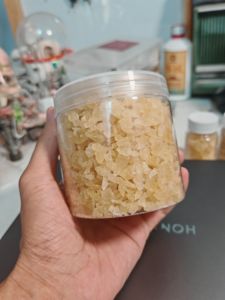蚂蚁食粮特制冰糖380毫升|工匠原生红胸肯尼亚大头食物很大一罐