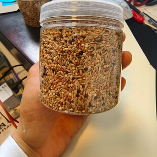 收获蚁粮食混合种子380毫升|工匠原生红胸肯尼亚大头食物很大一罐