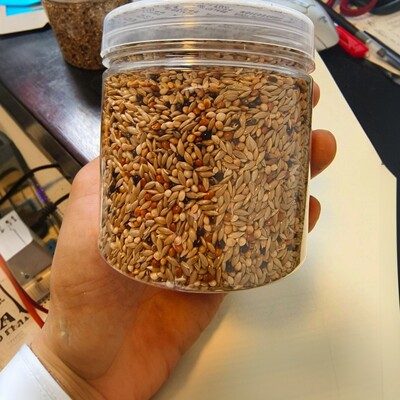 收获蚁粮食混合种子380毫升|工匠原生红胸肯尼亚大头食物很大一罐