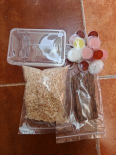 新手甲虫成虫饲养基础套餐[不含虫]独角仙兜虫锹甲金龟|冷门宠物