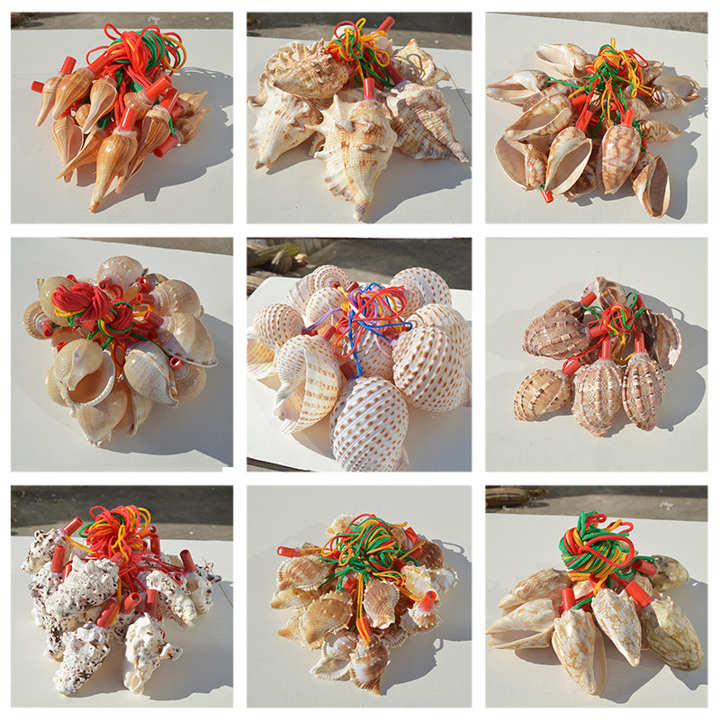 天然海可吹喇叭口哨儿童贝壳玩具工艺品旅游礼物地摊货源