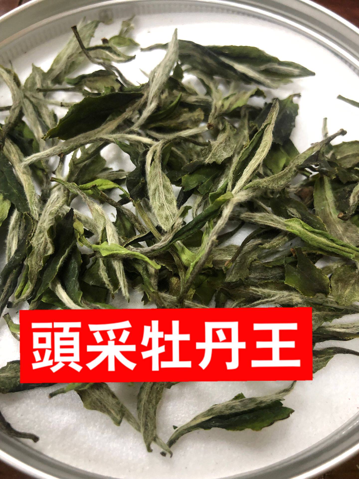 陈皮娘娘推荐好茶头采牡丹王福建磻溪1斤长龙山海拔800米左右