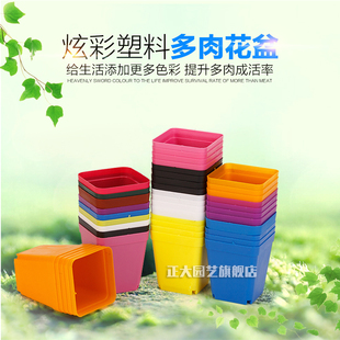 小多肉盆小方盆托盘彩方大小黑方 方盘 育苗盘 多肉盆