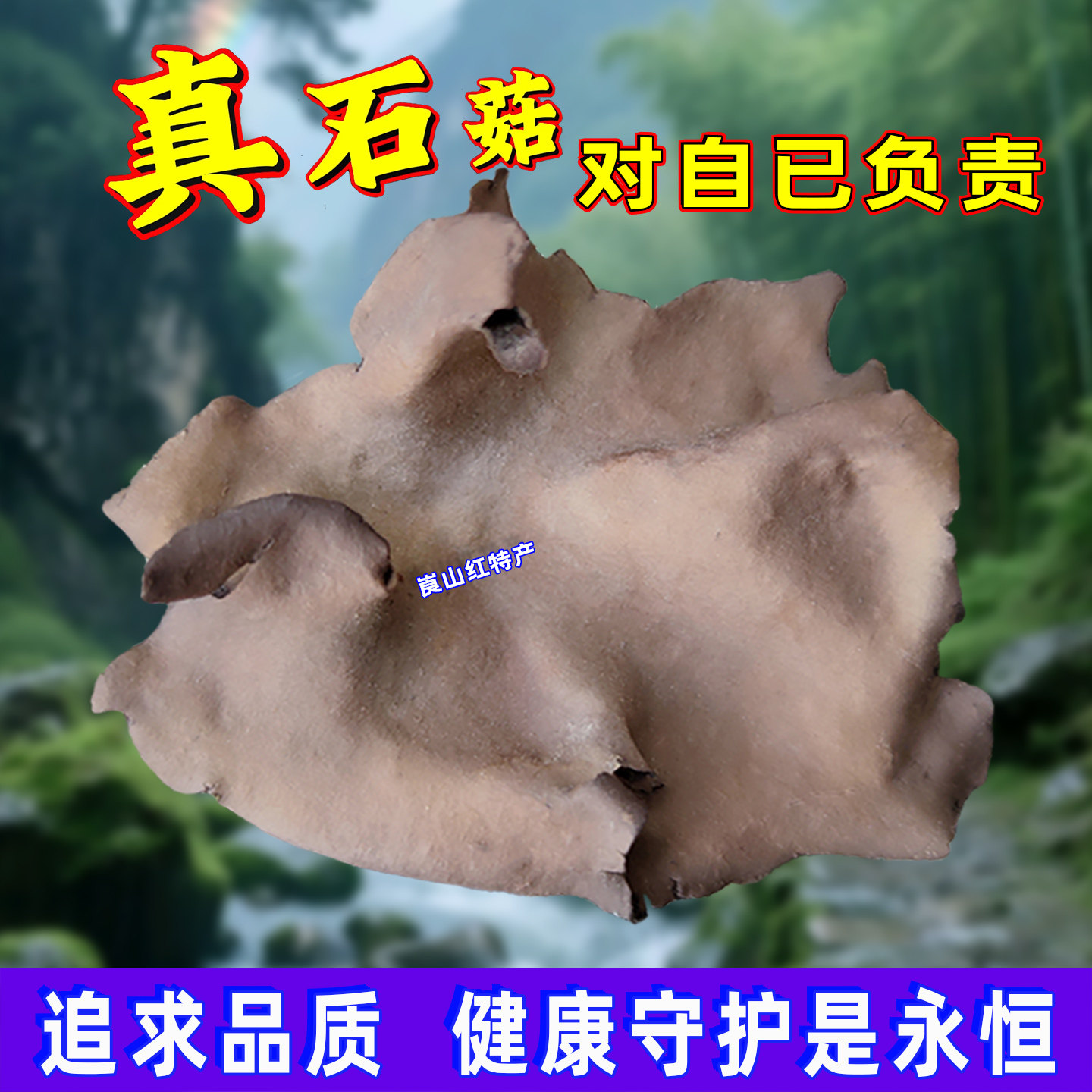 岩耳张家界石耳野生干货山珍200克3至9公分特产食用菌石菇炖土鸡