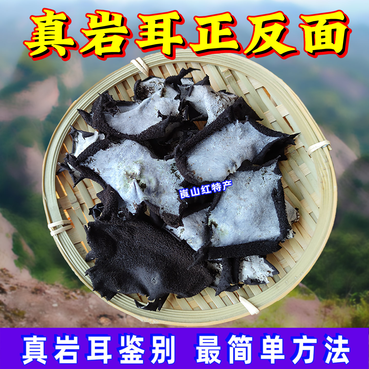 免洗石耳野生干货无沙岩耳自摘天然石菇50克农家特产野菜山珍菌菇