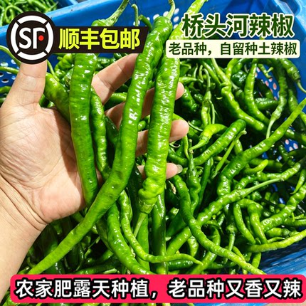 【顺丰包邮】湖南桥头河辣椒新鲜青辣椒农家自种老品种辣椒香辣