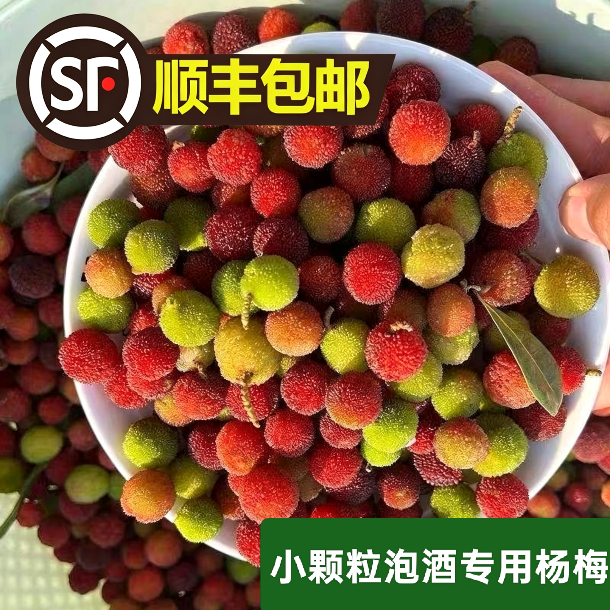 【顺丰包邮】【青红杨梅】泡酒专用野生酸水果新鲜果青果小颗粒