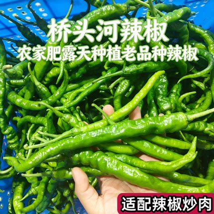 【农家肥】湖南桥头河新鲜辣椒农家自种本地蔬菜青椒老品种香辣