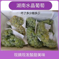 【新鮮水果】水晶葡萄新鮮香葡萄土葡萄玫瑰香水果綠葡萄青葡萄