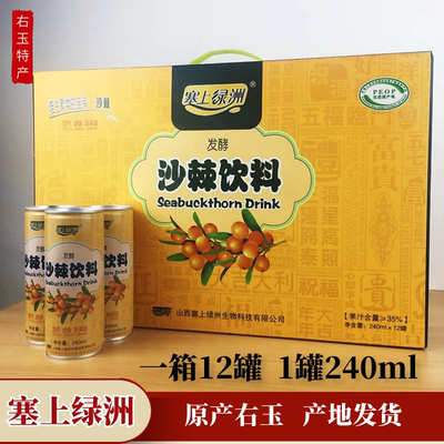 塞上绿洲山西沙棘汁易拉罐饮品