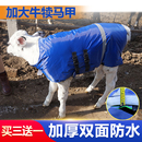 牛犊马甲小牛防寒棉衣加厚加大防水养牛场保温牛犊衣服犊牛保暖衣