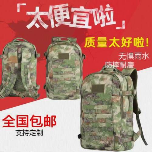 正版新式战术突击包单人作训包EXP2Z-1V款大容量迷彩背囊防水背包