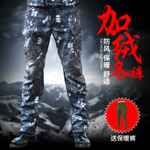 戶外軍迷男防水防風加厚保暖秋冬 鯊魚皮軟殼沖鋒褲 執政官戰術長褲