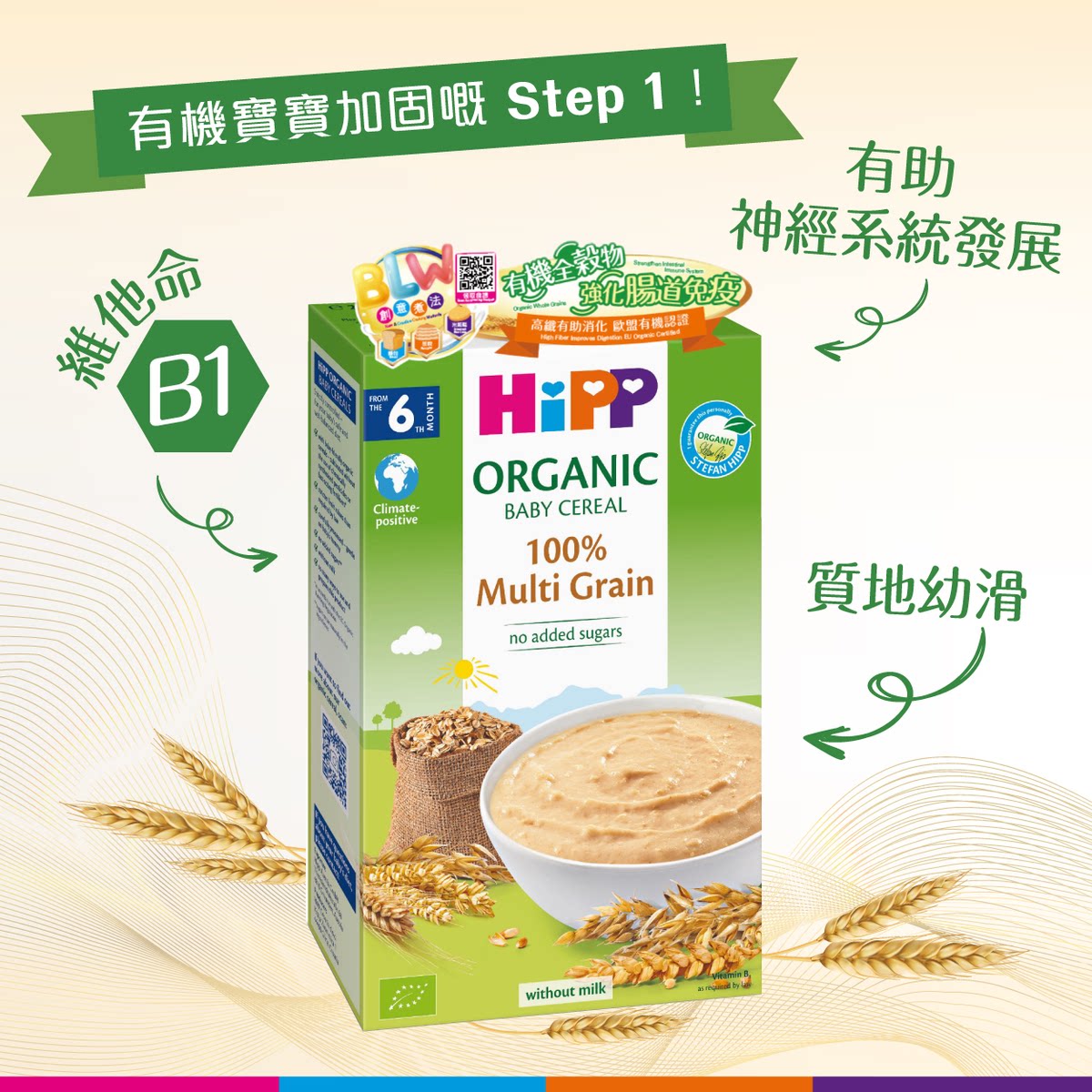 进口版喜宝 5种谷米粉米糊200g婴幼儿有机辅食奶糊谷物小米粉小麦