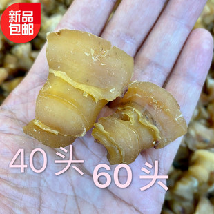 特选红螺头海螺肉干 酒店食材水产干货海产品煲汤食材约60头/500g