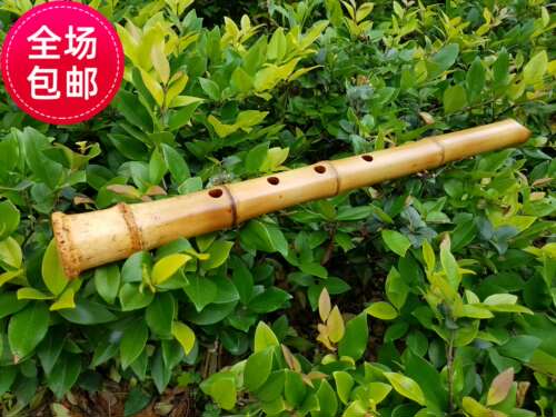 尺八晓云优质三云舒厚礼精造新款5孔D管悠唐口外切镶牛角歌