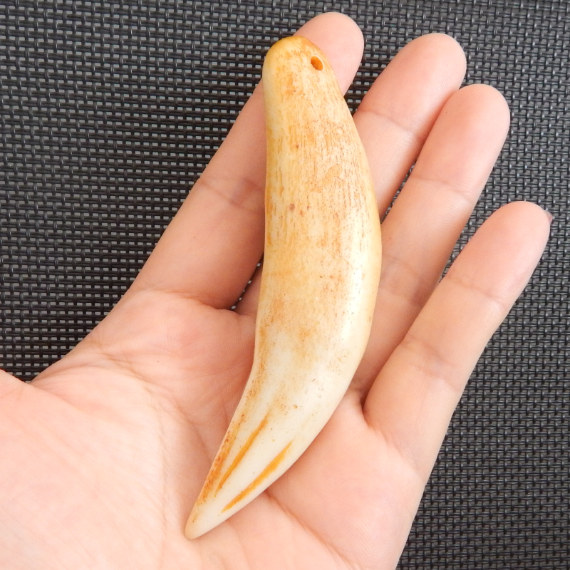 骆驼牙和虎牙图片,图片_大山谷图库