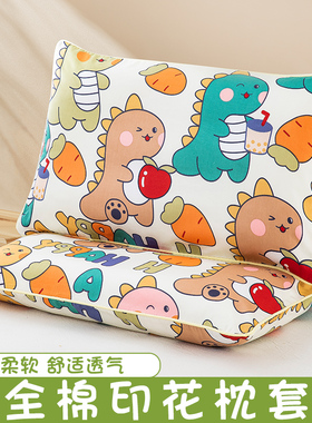 A类新款60支长绒棉纯棉儿童枕套枕头枕头套40x60单只30x50内胆套