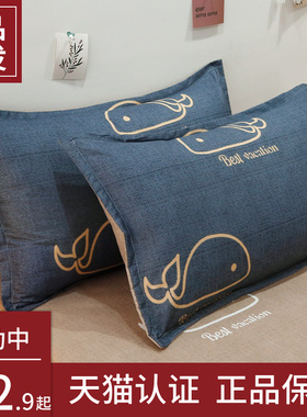 ins枕套一对装夏季单个48x74cm家用单人儿童枕芯枕头套非纯棉全棉