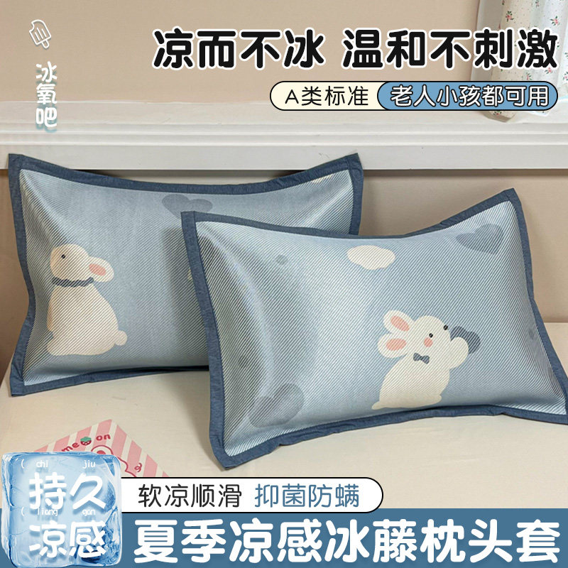 夏季冰丝枕套一对装家用凉感冰藤枕头套单个48x74凉席枕芯内胆套