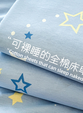 冬季ins风纯棉100全棉床单单件2025新款加厚学生宿舍单人被单枕套