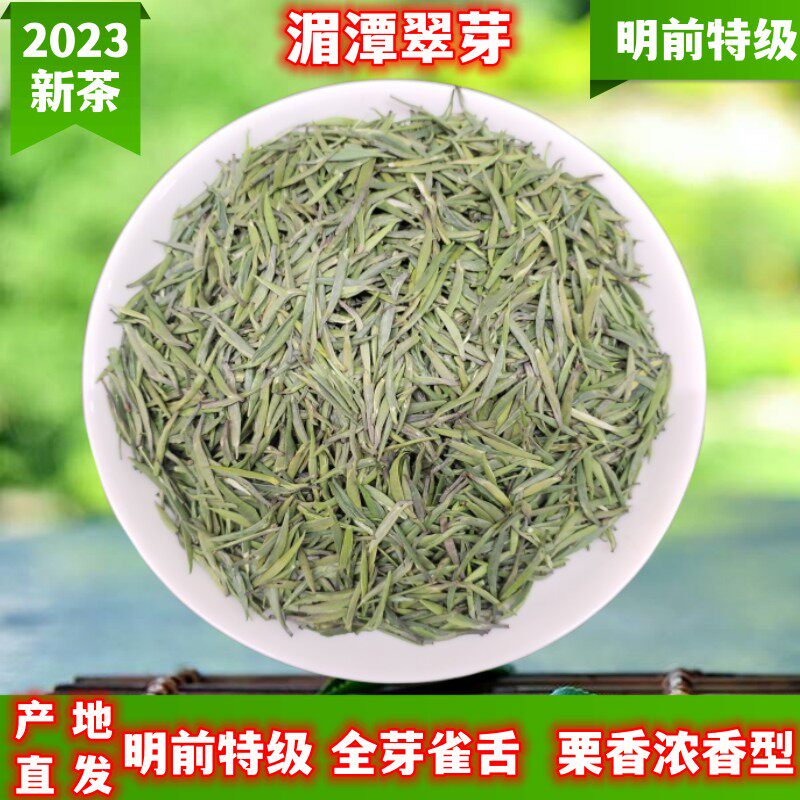 2024新茶雀舌湄潭翠芽毛尖春茶明前浓香型礼盒装原料特级绿茶120g