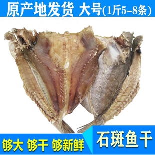 北海特产渔民自晒海鱼干微咸肉厚大石斑鱼干咸鱼干海鲜干货新货
