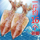 2号北海特产大号淡晒手撕酒吧烧烤鱿鱼干母干特大头须货专用干尤