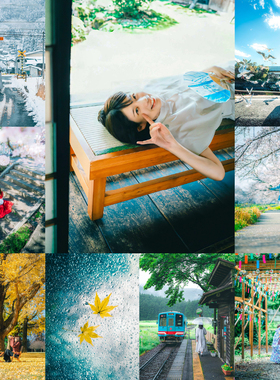 自然哑光日系小清新Lightroom预设PR/FCPX达芬奇LUTs文艺PS手机LR