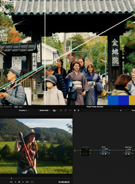 达芬奇电影级色彩控制工具整合PowerGrade节点+DCTL素材绿色版