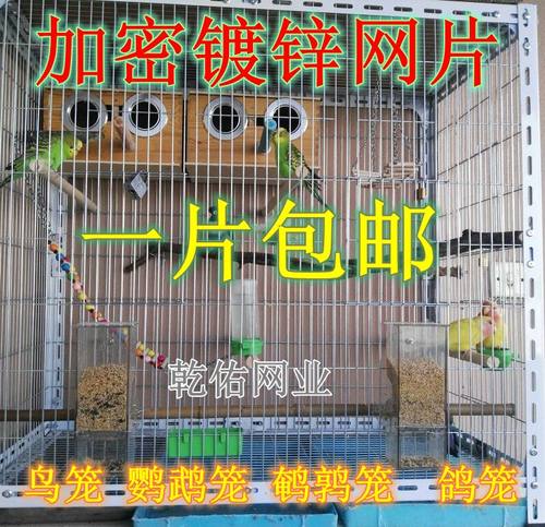 镀锌网片河北围栏养殖网鸟笼网