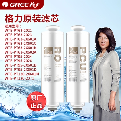 格力净水器滤芯WTE-PT63-2023/WTE-PT63-2X601A 复 PCU 合反渗透