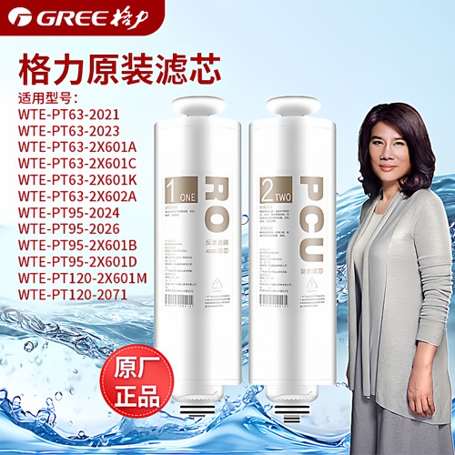 格力净水器滤芯WTE-PT63-2023/WTE-PT63-2X601A 复 PCU 合反渗透