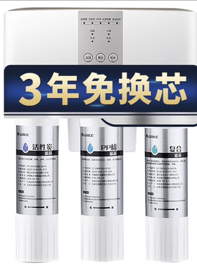 格力净水机家用反渗透净水器自来水过滤器WTE-PC16-5088/5X608A