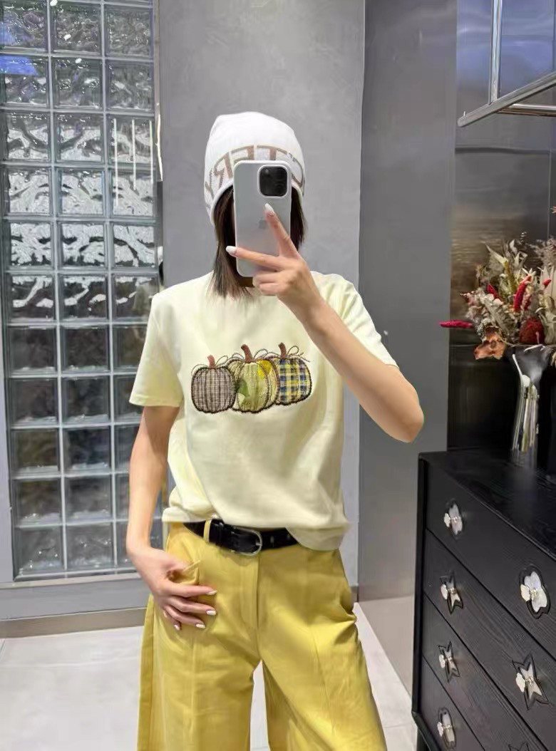 欧洲站2026早春新款欧货时尚圆领南瓜刺绣宽松百搭短袖t恤上衣女