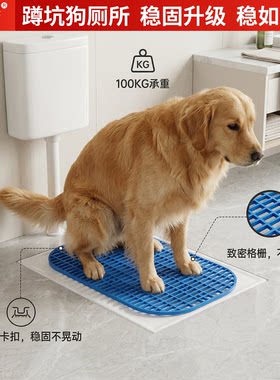 狗厕所自动感应冲水通用大中小型