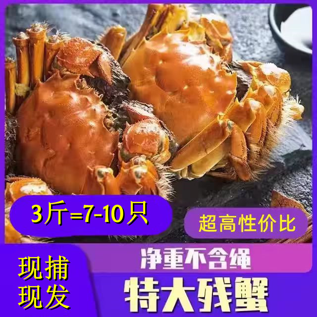 大闸蟹鲜活螃蟹全公母蟹缺腿蟹断腿蟹残次蟹残蟹特大活蟹