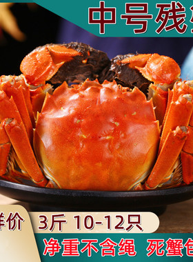大闸蟹鲜活螃蟹全公母蟹缺腿蟹断腿蟹残次蟹残蟹特大