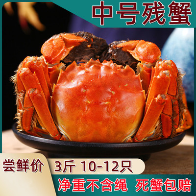 残蟹大闸蟹兴化性价比高