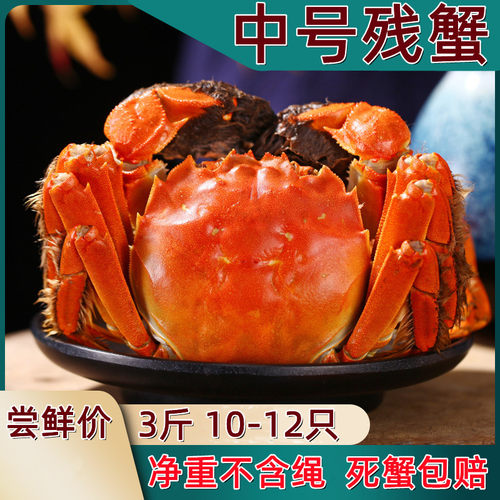 残蟹大闸蟹兴化性价比高