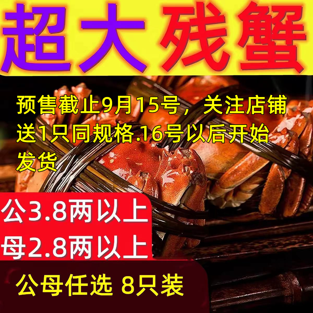 大闸蟹鲜活螃蟹全公母蟹缺腿蟹断大闸蟹