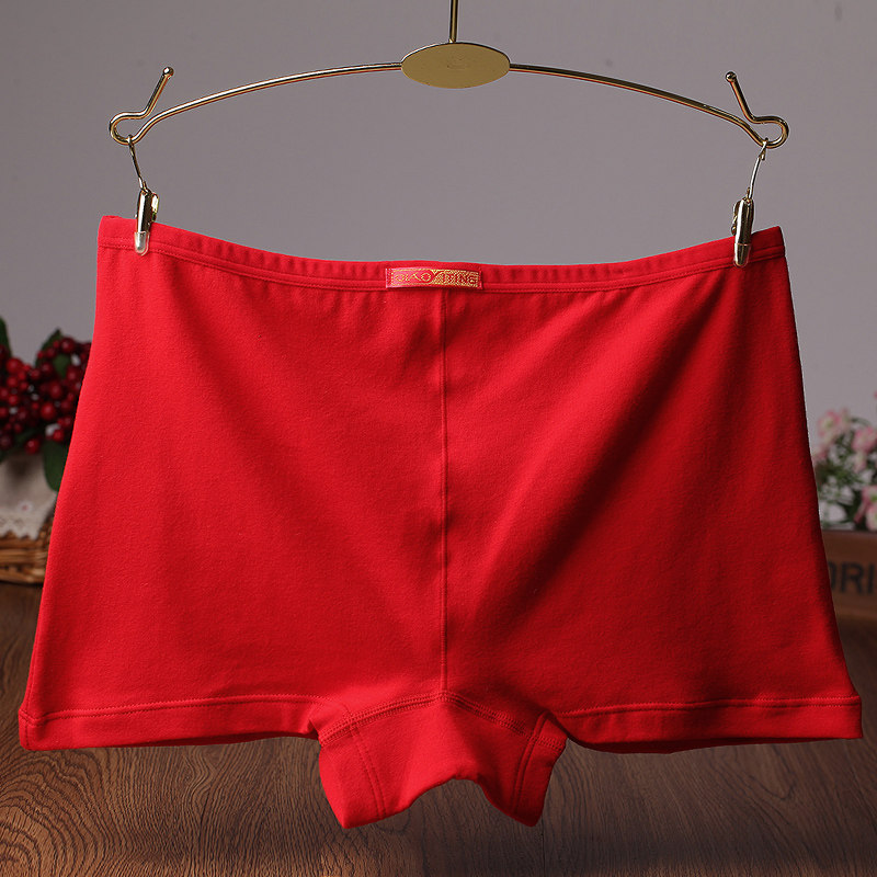 Slip jeunesse en coton - Ref 645521 Image 4